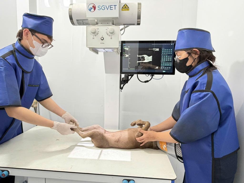 Chụp X-Ray Kỹ Thuật Số